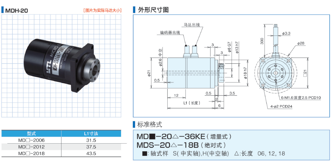 微型DD馬達(圖5)